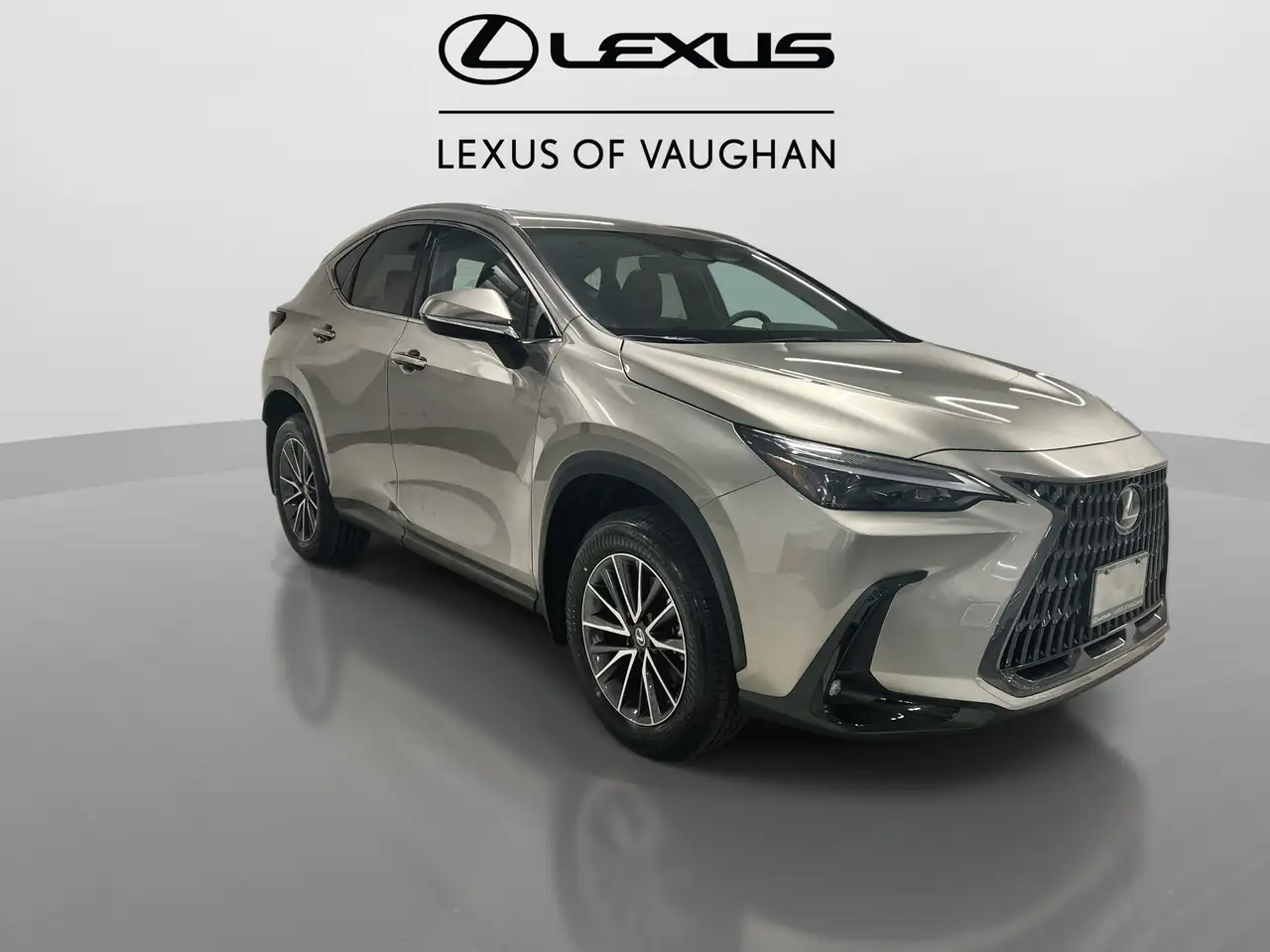 Lexus NX photo Lexus NX