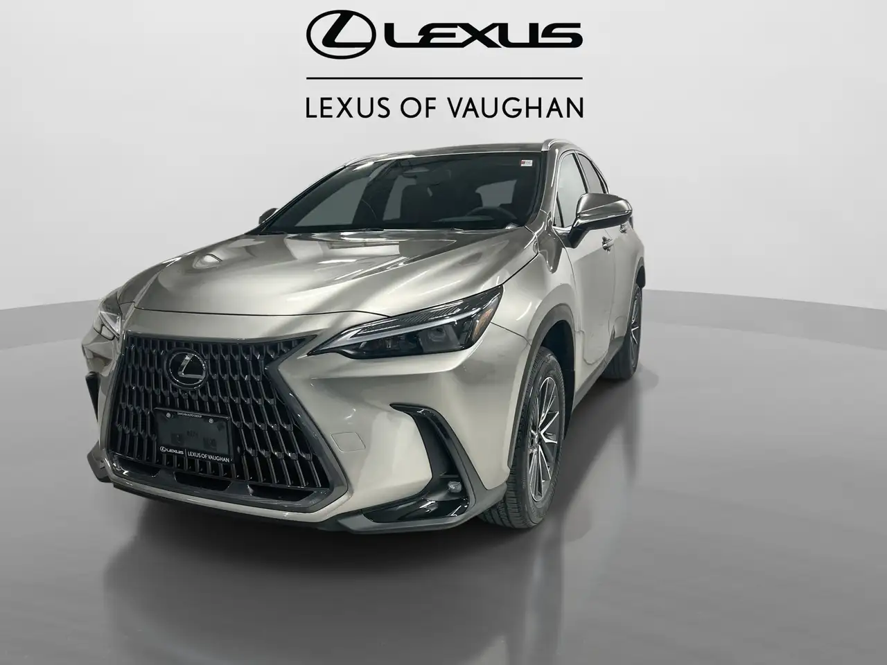 Lexus NX photo Lexus NX