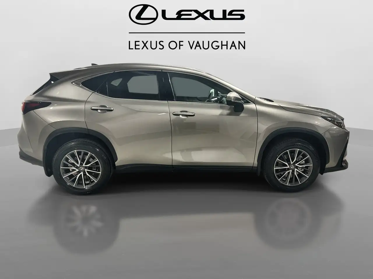 Lexus NX photo Lexus NX