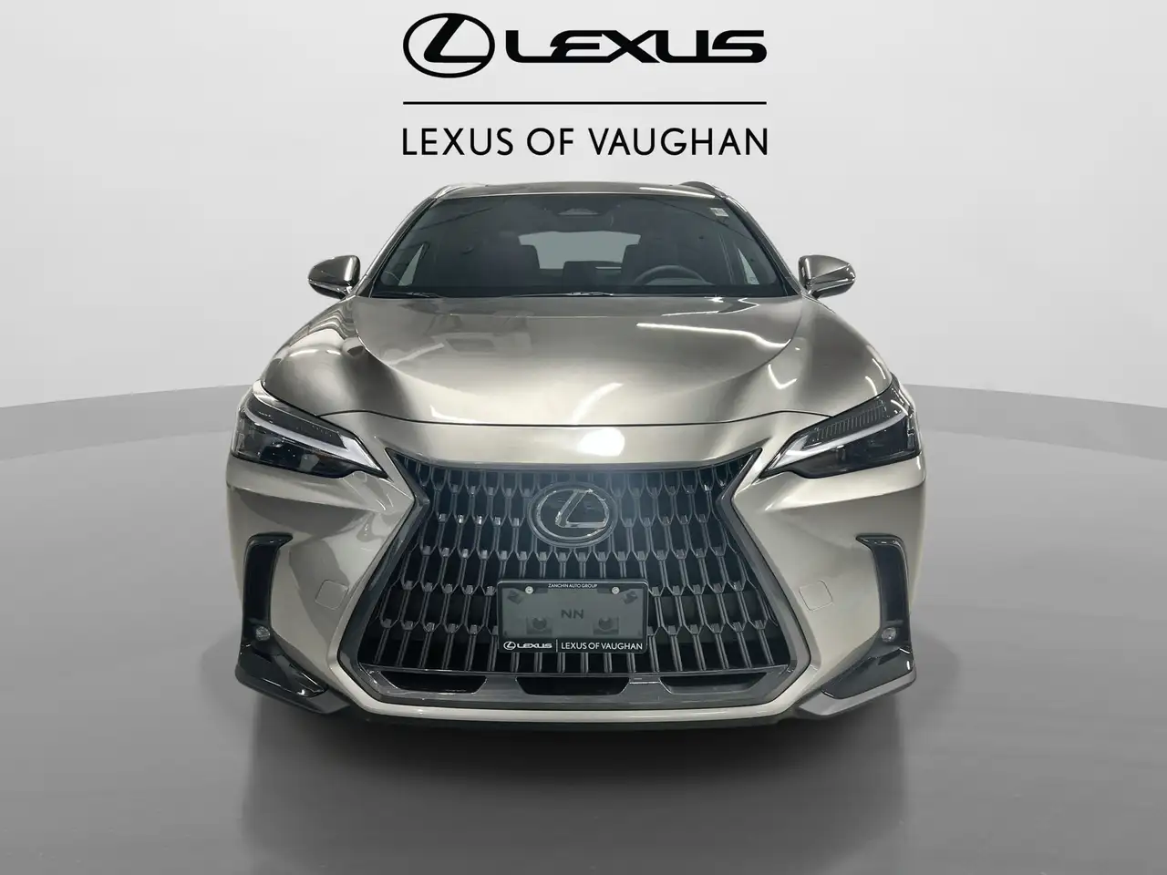 Lexus NX photo Lexus NX