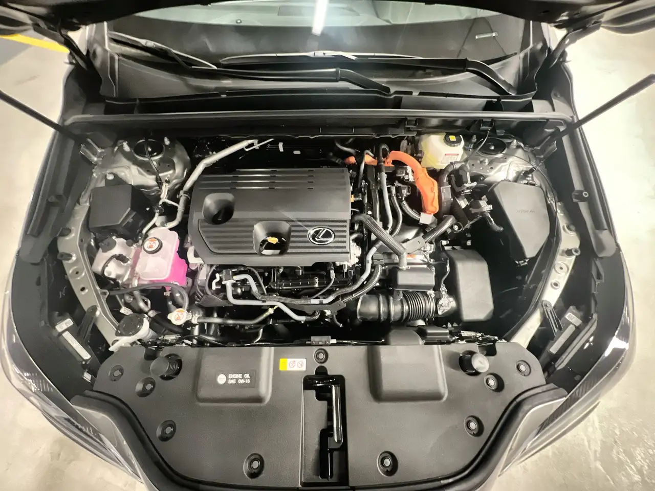 Lexus NX photo Lexus NX