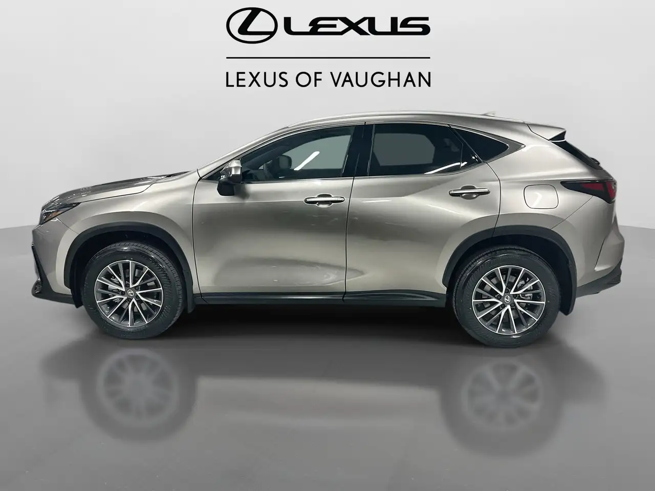 Lexus NX photo Lexus NX
