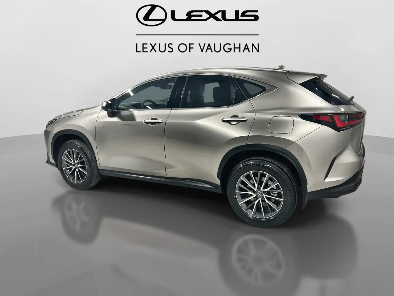 Lexus NX photo Lexus NX