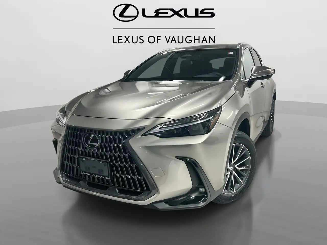 2026 Lexus NX