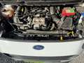Ford Courier Trendline Weiß - thumbnail 19