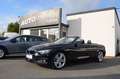 BMW 430 Cabrio 430 i Advantage Head-Up Leder LED Navi AH Schwarz - thumbnail 1