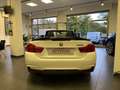 BMW 430 430i Cabrio Msport auto Bianco - thumbnail 5