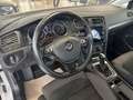 Volkswagen Golf Variant VII Highline BMT Aut Alcan Navi ACC Weiß - thumbnail 3