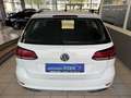 Volkswagen Golf Variant VII Highline BMT Aut Alcan Navi ACC Weiß - thumbnail 17