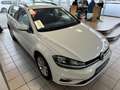 Volkswagen Golf Variant VII Highline BMT Aut Alcan Navi ACC Weiß - thumbnail 22