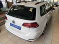 Volkswagen Golf Variant VII Highline BMT Aut Alcan Navi ACC Weiß - thumbnail 5