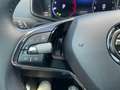 Skoda Karoq Tour 2.0 TDI ACC 4xSHZ el.Heck, Navi Albastru - thumbnail 19