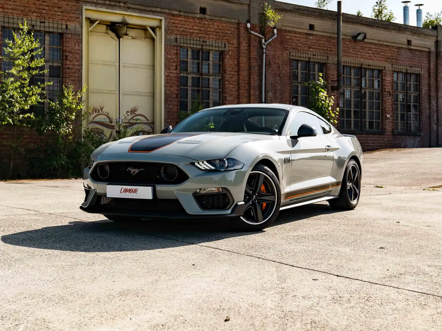 Ford Mustang Mustang Fastback V8 5.0 460ch BVA10 MACH 1 Grau - 1