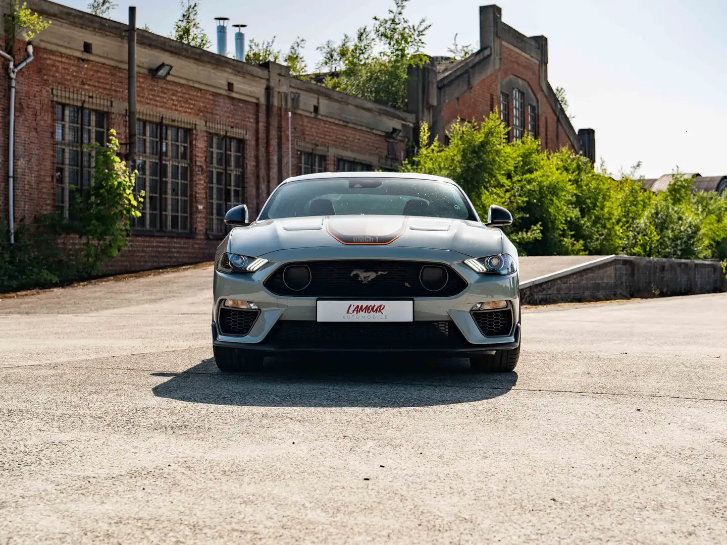 Ford Mustang Mustang Fastback V8 5.0 460ch BVA10 MACH 1 Grau - 2