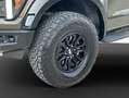 Ford F 150 RAPTOR Verde - thumbnail 16