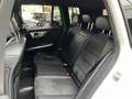 Mercedes-Benz 220 GLK GLK220 CDI 4M AMG Sport Paket Edition Pano Blanco - thumbnail 33