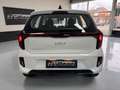 Kia Picanto 1.0 DPI DynamicLine Camera Navi Cruise Wit - thumbnail 6