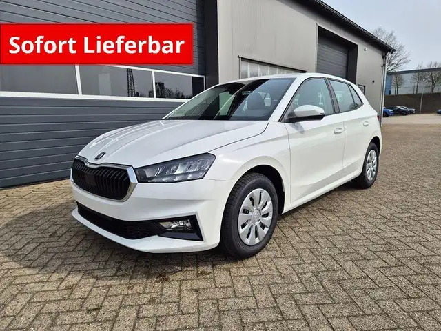 Skoda Fabia main image
