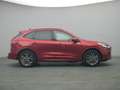 Ford Kuga ST-Line X 224PS PHEV Aut./Winter-Paket 2 Rood - thumbnail 8