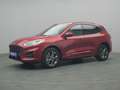 Ford Kuga ST-Line X 224PS PHEV Aut./Winter-Paket 2 Rood - thumbnail 15