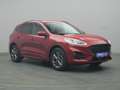 Ford Kuga ST-Line X 224PS PHEV Aut./Winter-Paket 2 Rood - thumbnail 5