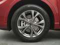 Ford Kuga ST-Line X 224PS PHEV Aut./Winter-Paket 2 Rood - thumbnail 17