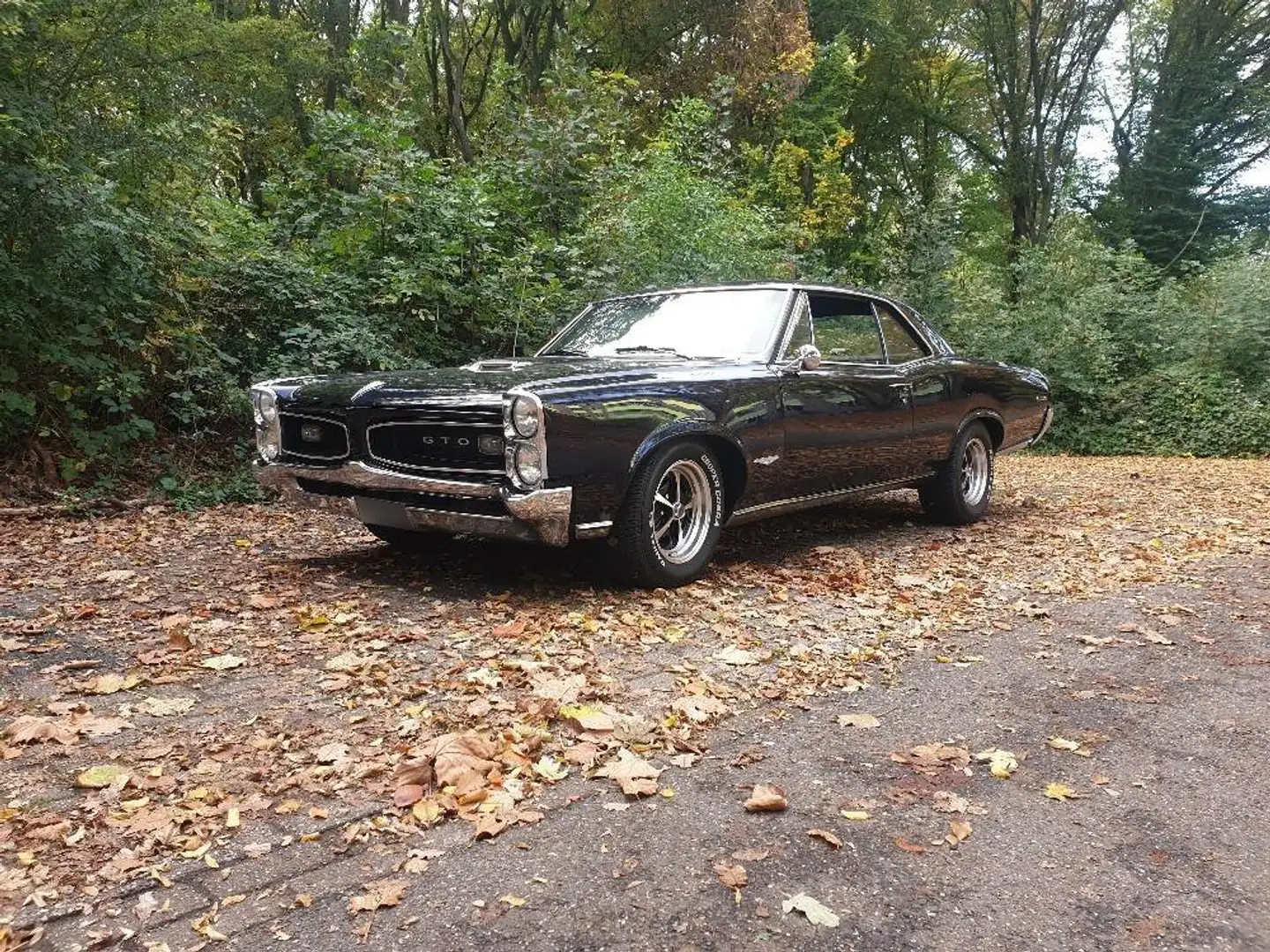 Pontiac GTO 242 Синій - 1