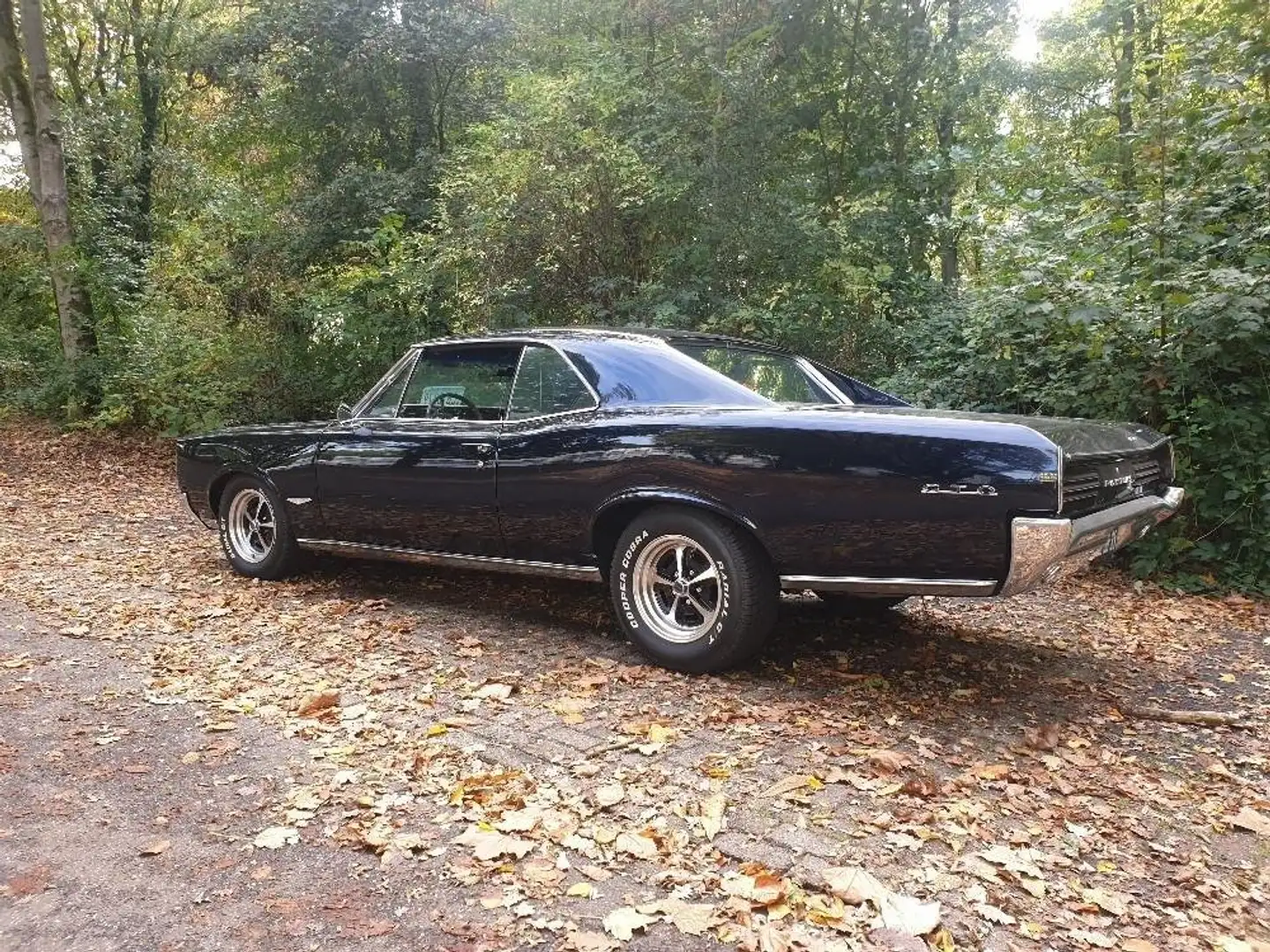 Pontiac GTO 242 Синій - 2
