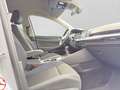 Volkswagen Golf 1.0 TSI UNITED KAMERA ACC LED APP-CON Grau - thumbnail 4