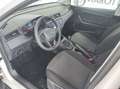 SEAT Arona 1.0 tgi Style 90cv Bianco - thumbnail 13