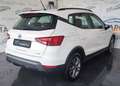 SEAT Arona 1.0 tgi Style 90cv Bianco - thumbnail 5