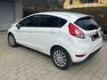 Ford Fiesta Fiesta Trend 1,25 Trend Weiß - thumbnail 5