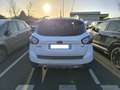 Ford Kuga Kuga 2.0 TDCi 163 DPF 4x4 Titanium Powershift A Blanc - thumbnail 5