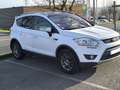 Ford Kuga Kuga 2.0 TDCi 163 DPF 4x4 Titanium Powershift A Blanc - thumbnail 2