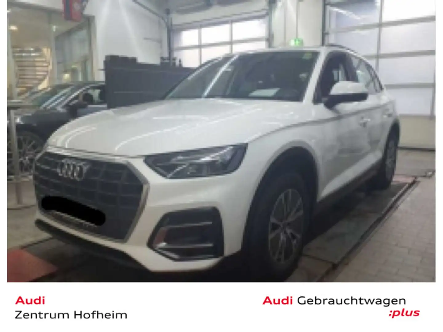 Audi Q5 35 TDI S tro*LED*Virtual*Navi+*Kamera* Weiß - 1