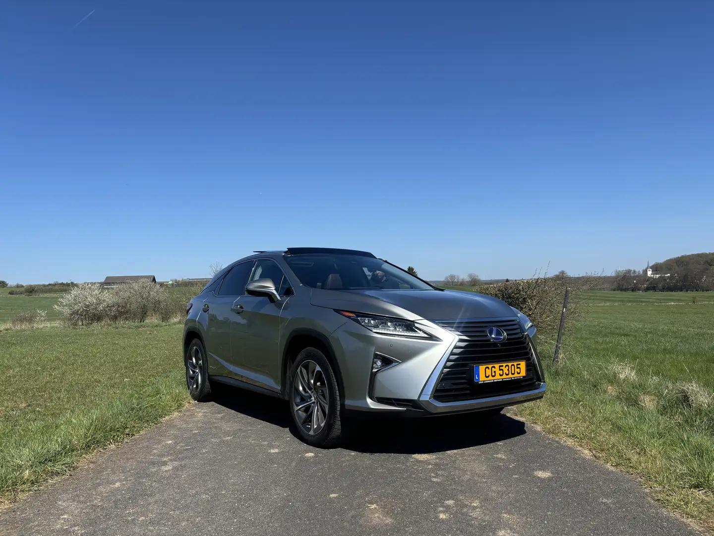 Lexus RX 450h (hybrid) Luxury Line - 1