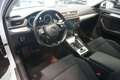 Skoda Superb Kombi 1,4 TSI PHEV Pano/Navi Weiß - thumbnail 7