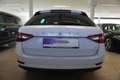 Skoda Superb Kombi 1,4 TSI PHEV Pano/Navi Weiß - thumbnail 6