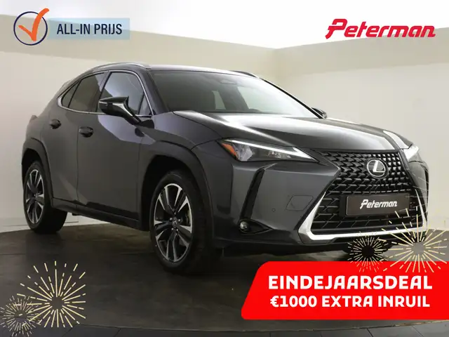 Lexus UX 300h Business Line | Stuur en Stoelverwarming | BLS | P