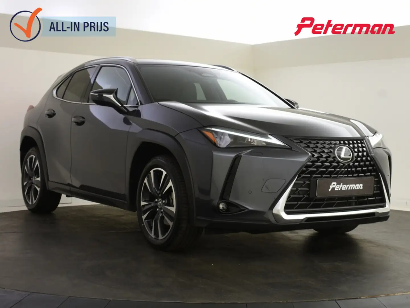 Lexus UX 300h Business Line | Stuur en Stoelverwarming | BLS | P Grijs - 1