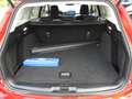 Ford Focus Titanium EASY-PARKING-P. FAHRASSISTENZ-P. WINTER-P Rot - thumbnail 8
