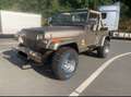 Jeep Wrangler 4.0 Beige - thumbnail 1