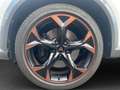 CUPRA Formentor VZ 2.0 TSI 245 PS DSG Weiß - thumbnail 7