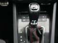 Skoda Octavia RS 4x4 STHZG*AHK*PANO Grau - thumbnail 21