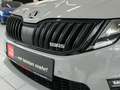 Skoda Octavia RS 4x4 STHZG*AHK*PANO Grau - thumbnail 10