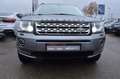 Land Rover Freelander SD4 SE BVA MARK V 4X4 Gris - thumbnail 13