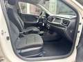 Kia Rio Dream Team Wit - thumbnail 10