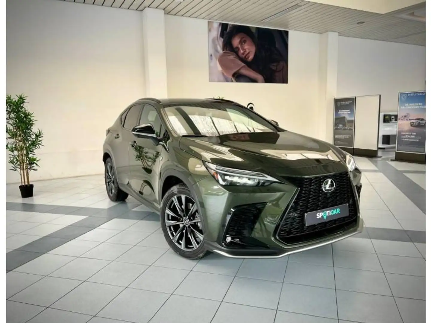 Lexus 2 450H+ 4x4 F-Sport Line Groen - 2