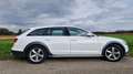 Audi A6 allroad A6 Allroad 3,0 TDI quattro DPF S-tronic Luftfahrwerk AHK Weiß - thumbnail 3