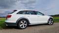 Audi A6 allroad A6 Allroad 3,0 TDI quattro DPF S-tronic Luftfahrwerk AHK Weiß - thumbnail 5